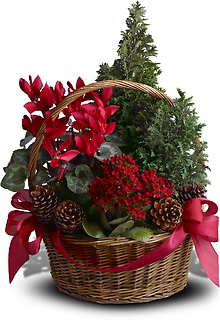 Tannenbaum Basket