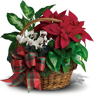 Holiday Homecoming Basket